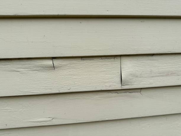 Best Aluminum Siding Installation  in Ruleville, MS